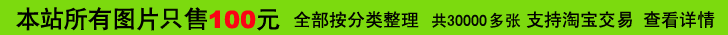 ����վ����ͼƬֻ��100Ԫ